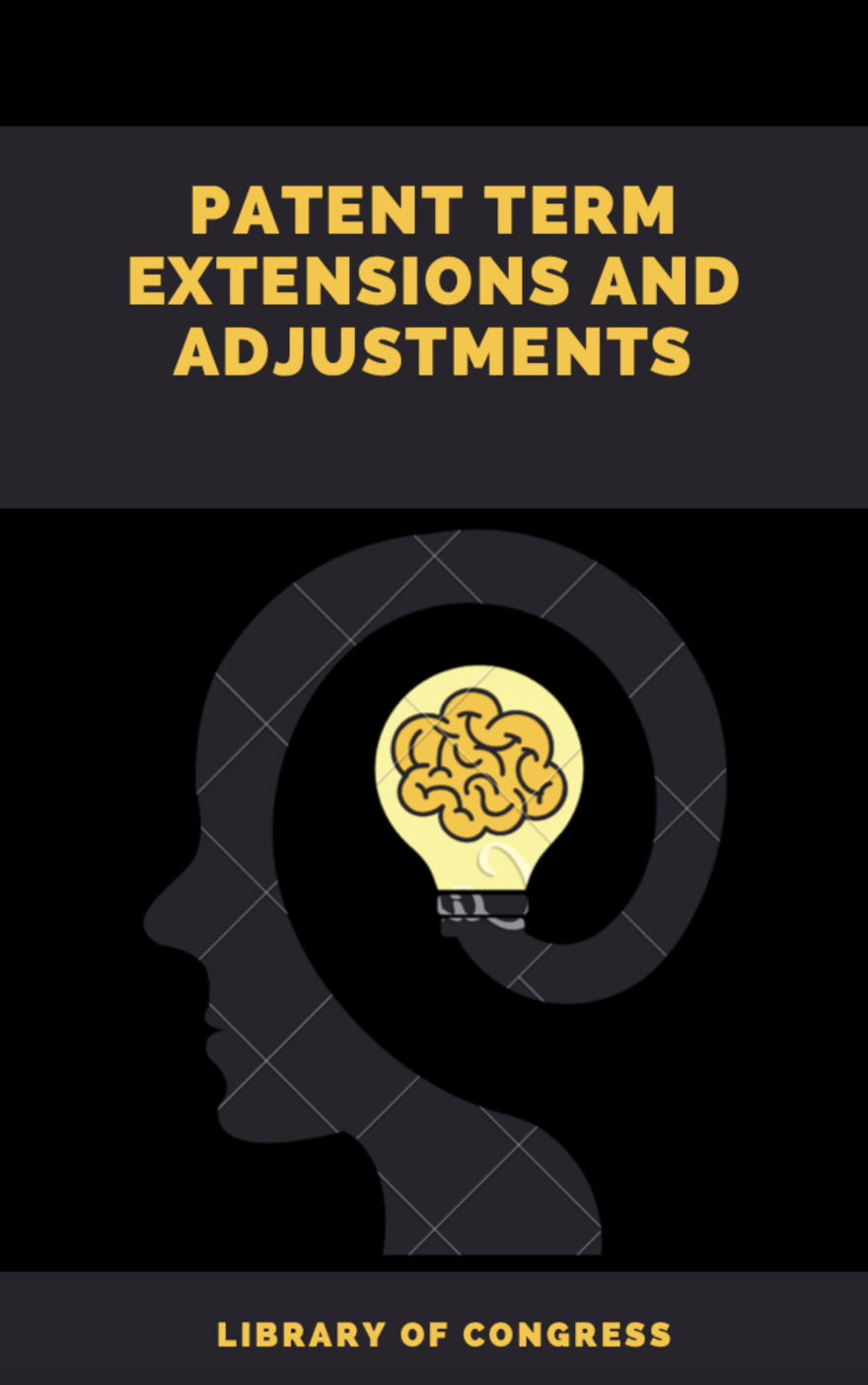 Patent Term Extensions And Adjustments
